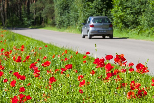 Is Your Car Covered With Dust